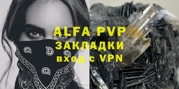 стафф Алексин