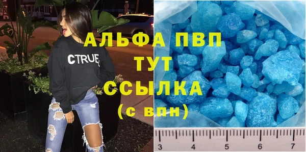 стафф Алексин