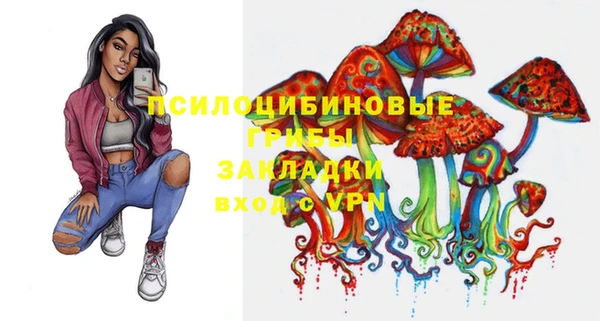 стафф Алексин