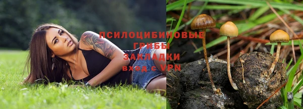 стафф Алексин
