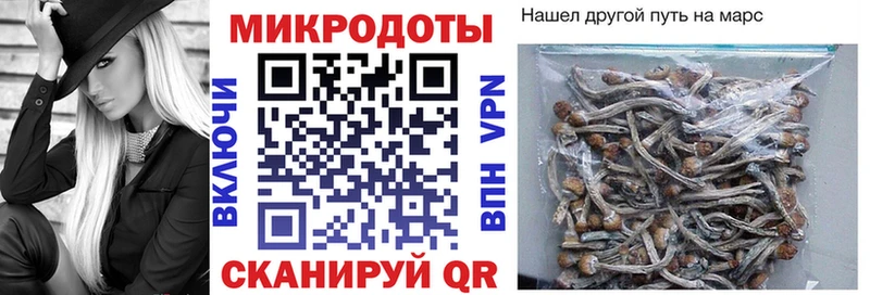 дарк нет клад  Тобольск  Псилоцибиновые грибы Psilocybine cubensis 
